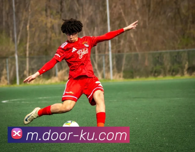 酷游体育服务体系